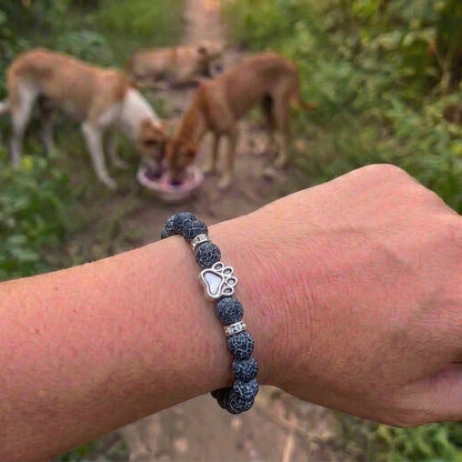 Armbånd – Drageskæl