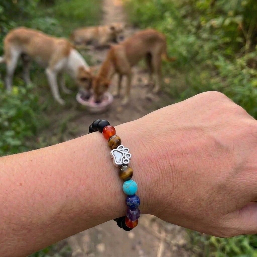Armbånd – Nattens Regnbue