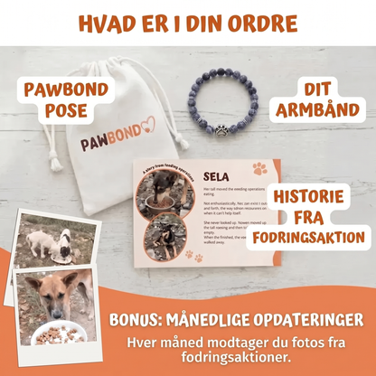 Armbånd – Tigerøje